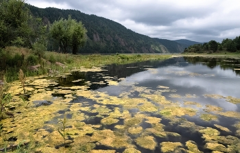 Old pond / ***