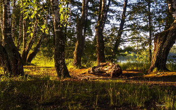 Srolnechnaya Glade / ***