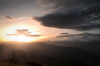 Sundown With Tree / ***