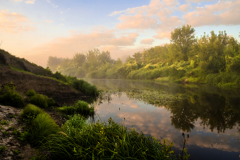 Sommermorgen. / ***