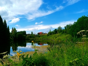 Pond. / ***