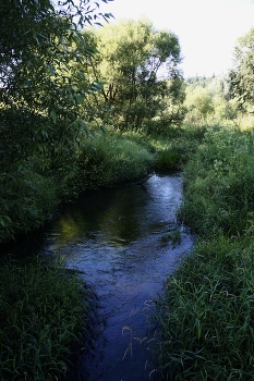 Streamlet / ***