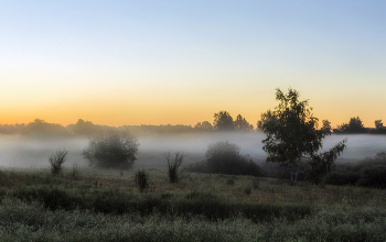 Morgendämmerung / ***