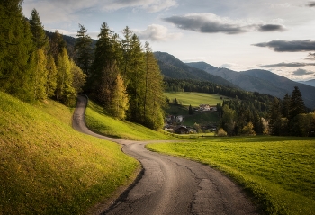 Evening road / ***