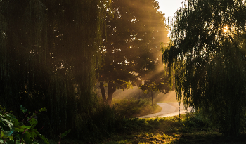 Morgen in den Park. / ***