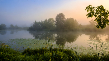 In der Morgendämmerung. / ***