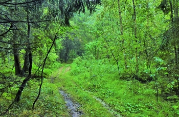 Nach der regen ... / ***