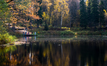 Alte Teich. / ***