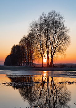 Morgendämmerung / ***