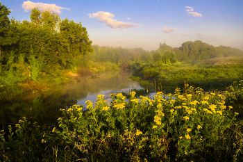 Sommermorgen. / ***