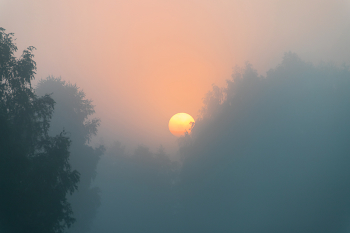 Morgendämmerung / ***