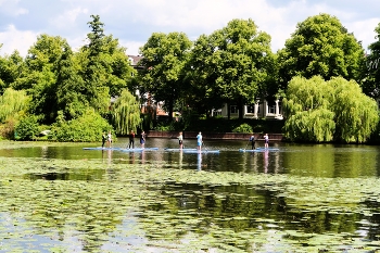 Alster Hamburg / ***