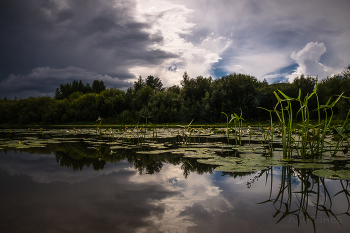 Bald wird der regen / ***