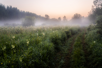 Am frühen Morgen / ***