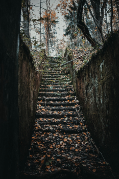 Treppe / No comments.