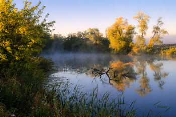 Herbst / ***