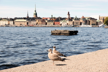 Stockholm / ***