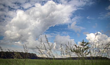 Sommerhimmel / ***