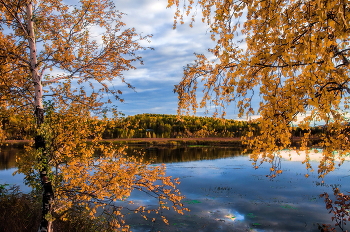 Goldener Herbst / ***