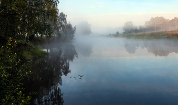 Morgen auf dem See. / ***