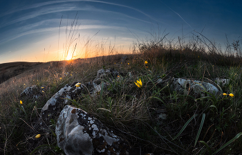 Abend April / ***