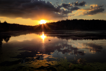 Sunset Idylle .... / ***