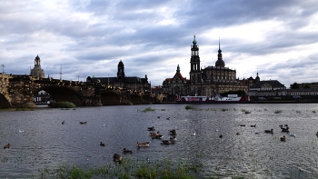 Dresden / ***