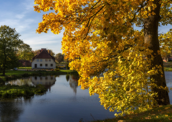 Autumn Gatchina / ***