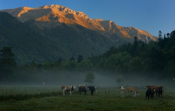 Morgendämmerung in den Bergen / ***