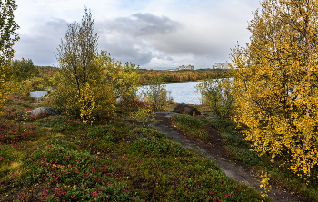 Das Herbst / ***