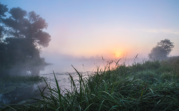 Morgendämmerung / ***