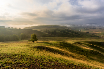 Herbstnebel / ***