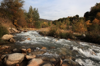 Mountain Fluss / ***