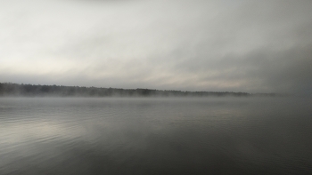 &nbsp; / lake fog-1