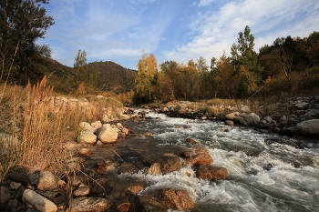 Herbst auf dem Fluss / ***