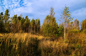 an der Ende September / ***