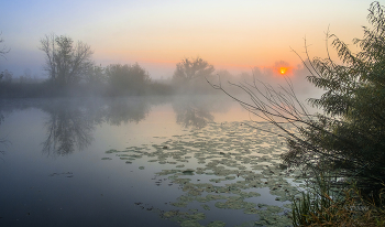 Herbstmorgen. / ***