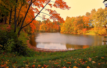 Die Palette des Herbstes / ***