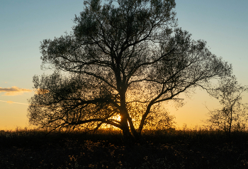 Herbst-Sonnenuntergang / ***