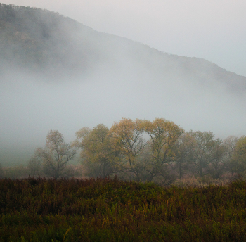 Herbst / ***