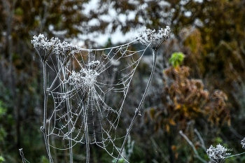 letzten Tag des Monats Oktober / ***