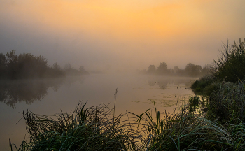 Herbst / ***