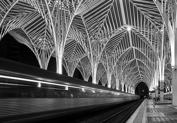 Oriente Railway Station in Lisbon / Oriente Railway Station in Lisbon