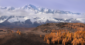 Altai-Gebirge / ***