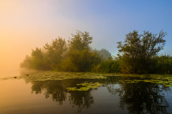 In der Morgendämmerung. / ***