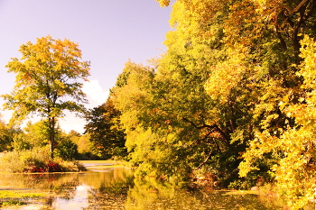 Goldener Herbst / ***