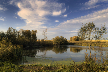 Auf dem Teich / ***