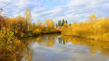 Autumn Gold / ***