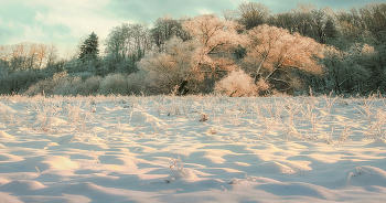 Der Winter kommt ... / ***