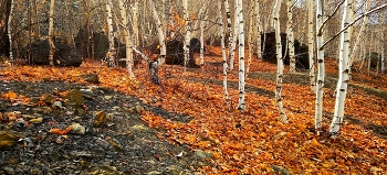 Autumn Gatchina / ***